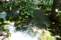 Хорватия. Дубровник-Растоке со всеми остановками (автобусом и не только, есть расписания)