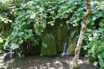 Хорватия. Дубровник-Растоке со всеми остановками (автобусом и не только, есть расписания)