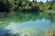 Хорватия. Дубровник-Растоке со всеми остановками (автобусом и не только, есть расписания)