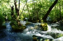 Хорватия. Дубровник-Растоке со всеми остановками (автобусом и не только, есть расписания)