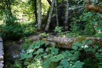 Хорватия. Дубровник-Растоке со всеми остановками (автобусом и не только, есть расписания)