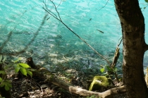 Хорватия. Дубровник-Растоке со всеми остановками (автобусом и не только, есть расписания)