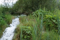 Хорватия. Дубровник-Растоке со всеми остановками (автобусом и не только, есть расписания)