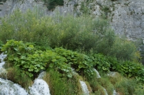 Хорватия. Дубровник-Растоке со всеми остановками (автобусом и не только, есть расписания)