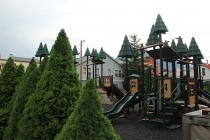 SKAGWAY-YUCON дорогой ЗОЛОТОЙ ЛИХОРАДКИ