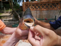 Рыбалка во Вьетнаме (Муй Не)