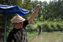 Рыбалка во Вьетнаме