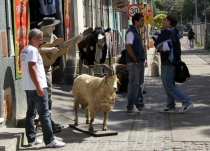 Южноамериканский дневник - записки на коленке. Аргентина.. Часть 2