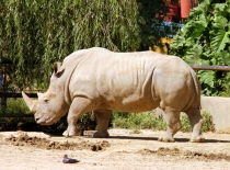 Южноамериканский дневник - записки на коленке. Аргентина.. Часть 2