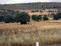 7 + 8 дней Мексики, Текилы и Сангриты. Ноябрь 2012.