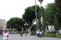 7 + 8 дней Мексики, Текилы и Сангриты. Ноябрь 2012.