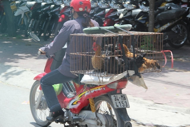 Мой Прекрасный Вьетнам. Северный и центральный Вьетнам июнь 2013.