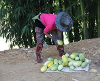 Мой Прекрасный Вьетнам. Северный и центральный Вьетнам июнь 2013.