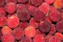 Мой Прекрасный Вьетнам. Северный и центральный Вьетнам июнь 2013.