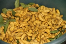 Мой Прекрасный Вьетнам. Северный и центральный Вьетнам июнь 2013.