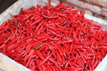 Мой Прекрасный Вьетнам. Северный и центральный Вьетнам июнь 2013.