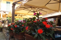 Милан-Вена-Комо, короткое, но интересное приключение