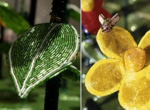 Картинка дня