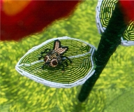 Картинка дня