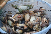 Мой Прекрасный Вьетнам. Северный и центральный Вьетнам июнь 2013.