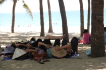 Мой Прекрасный Вьетнам. Северный и центральный Вьетнам июнь 2013.