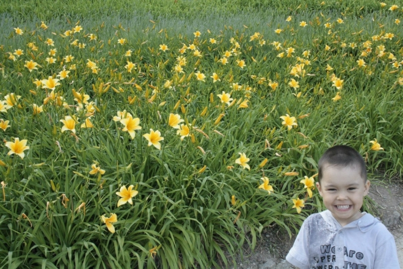 Семейные испанские каникулы с пересадками в Праге