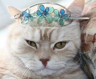 Поговорим о Кошках 24