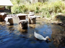 Каппадокия. 50 лет на воздушном шаре.