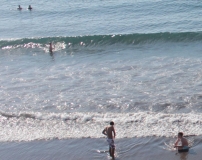 Monkey Beach Las Americas