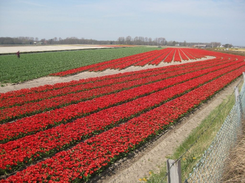 БеНиГер или Бельгия, Нидерланды, Германия (апрель 2013г.)