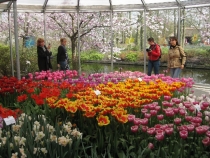 БеНиГер или Бельгия, Нидерланды, Германия (апрель 2013г.)