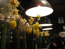 БеНиГер или Бельгия, Нидерланды, Германия (апрель 2013г.)