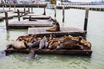 27 Дней по западу США на Мустанге