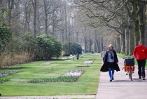 Keukenhof или как окунуться в море тюльпанов