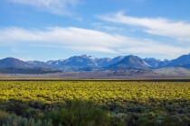 27 Дней по западу США на Мустанге