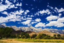 27 Дней по западу США на Мустанге