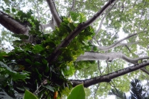 7 + 8 дней Мексики, Текилы и Сангриты. Ноябрь 2012.