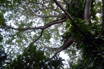 7 + 8 дней Мексики, Текилы и Сангриты. Ноябрь 2012.