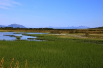 24-07 2 Дорога на Лофотены