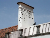 Фаду'ведение на местности.