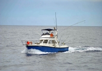 Мадейра в ритме понши