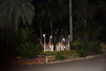 Великолепный Nong Nooch Tropical Garden (и его отель)