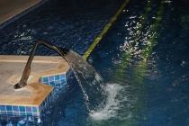 Великолепный Nong Nooch Tropical Garden (и его отель)