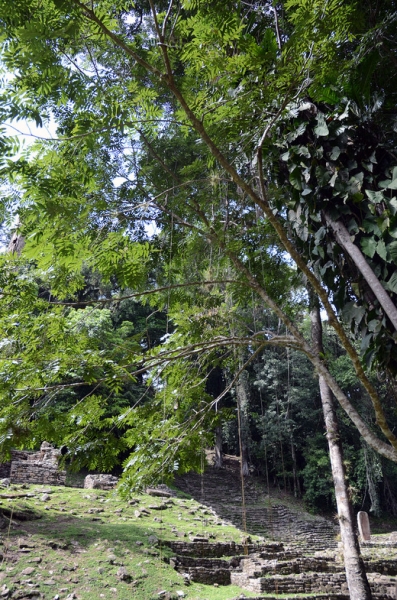 7 + 8 дней Мексики, Текилы и Сангриты. Ноябрь 2012.