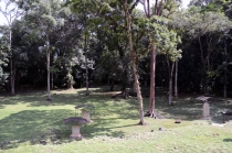 7 + 8 дней Мексики, Текилы и Сангриты. Ноябрь 2012.