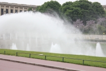 Париж, мокрые курицы и бутылка куантро.