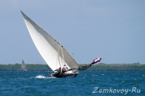 IMGP3642_s.jpg