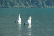 По Европе из Москвы 3. С полезными цифрами