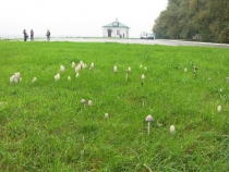 Куликово поле - Епифань - Богородицк (21-22.09.2013)