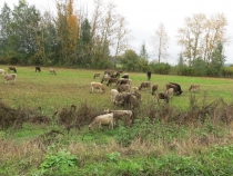 Куликово поле - Епифань - Богородицк (21-22.09.2013)